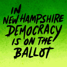 heysp new hampshire election on the ballot election voter