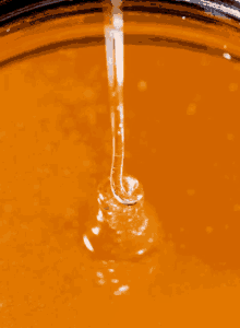 Honey GIF - Honey Pour Liquid GIFs