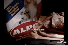 alpo dog food