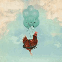 balloons chicken