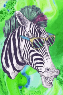 Donkey Zebra GIF - Donkey Zebra Shades GIFs