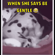 Firsttime Begental GIF - Firsttime Begental Slut GIFs