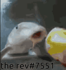 Rev The Rev GIF - Rev The Rev Casino Night GIFs