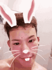Thebest Limited GIF - Thebest Limited Bunny GIFs