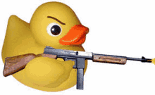 Questionable Duck Duck With A Gun GIF - Questionable Duck Duck With A Gun GIFs