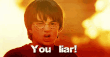 Harry Potter -you Liar! GIF - Harry Potter Daniel Radcliffe You Liar GIFs