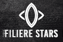 filiere stars stars filiere simracing team stars