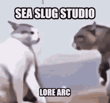 Sea Slug Studio Sea Slug Studio Lore GIF - Sea Slug Studio Sea Slug Studio Lore GIFs