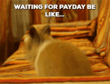 Payday Waiting For Payday GIF - Payday Waiting For Payday Nearly Payday GIFs