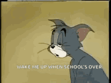 Sleepy Tom And Jerry GIF - Sleepy Tom And Jerry Tom GIFs