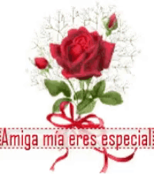 amistad eres