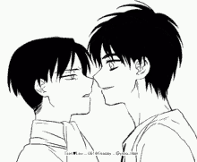 levi