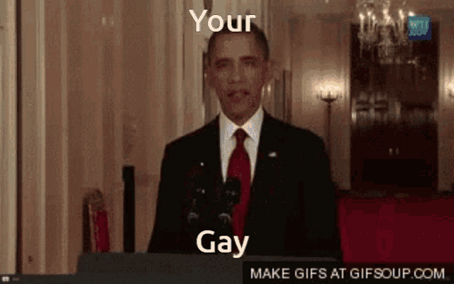 obama your gay meme