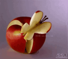 Apple Flower GIF - Apple Flower Art GIFs