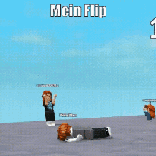 Mein Flip GIF - Mein Flip Meindoesaflip GIFs