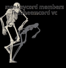 Skeleton Monkeycord GIF - Skeleton Monkeycord Monkey GIFs