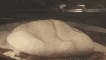 fermentation baking cooking bread chef eitan fermentation baking cooking bread chef eitan