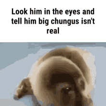 Big Chungus He Was Forced GIF - Big Chungus He Was Forced They Were Forced GIFs