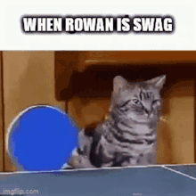 Rowan Cool GIF - Rowan Cool Cat GIFs
