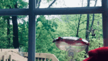 Hummingbird Just Dropping By GIF - Hummingbird Just Dropping By Bird Feeder GIFs