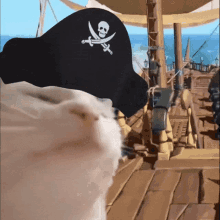 Pirate Catjam GIF - Pirate Catjam Cat GIFs