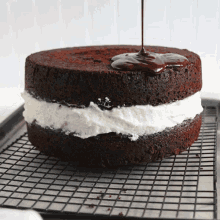 Covered In Chocolate - Cake GIF - Cake Chocolate Covered GIFs