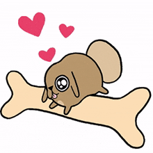 bark companion