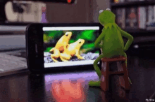 Kermit The Frog Masterbate GIF - Kermit The Frog Kermit Masterbate GIFs