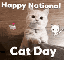 National Cat Day Cat Lovers Day GIF - National Cat Day Cat Lovers Day Kittens GIFs