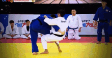 athlete judo