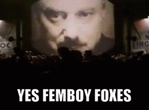 Femboy Foxes