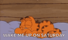 Saturday Garfield GIF - Saturday Garfield Bed GIFs