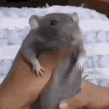 Vermintide Skaven GIF - Vermintide Skaven Rat GIFs