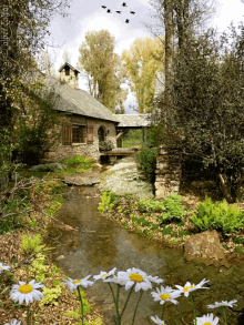 pond house lake tree flower pond house lake tree flower