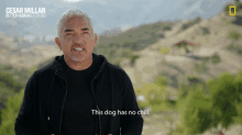 This Dog Has No Chill Cesar Millan GIF - This Dog Has No Chill Cesar Millan Cesar Millan Better Human Better Dog GIFs