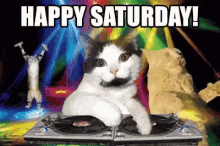Cats Party GIF - Cats Party Happy Saturday GIFs