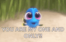 Baby Dory Laughing GIF - Baby Dory Laughing Finding Dory GIFs
