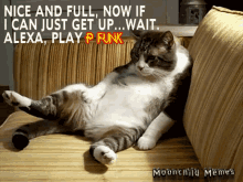Pfunk Cat Funktagious GIF - Pfunk Cat Pfunk Funktagious GIFs