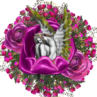 Angyal Virág Szeretet Magány Sticker - Angyal Virág Szeretet Magány Rosary Stickers