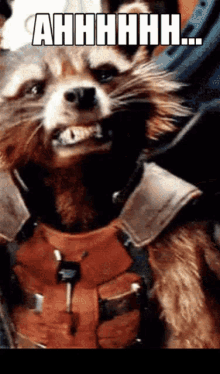 Ahhh Rocket Raccoon GIF - Ahhh Rocket Raccoon Guardians Of The Galaxy GIFs