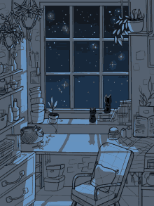 anime cat stars night night sky