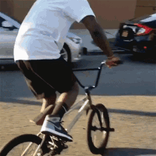 sylvester spin