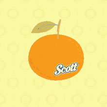 Myscottcny Scott Cny GIF - Myscottcny Scott Cny Logo GIFs