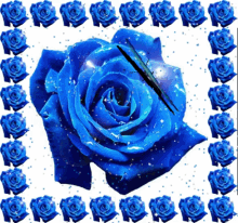 Rosa Azul GIF - Rosa Azul Mariposa GIFs