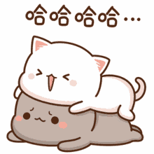 peach goma