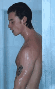 Shawn Mendes Mikey Mim GIF - Shawn Mendes Mikey Mim Shower GIFs
