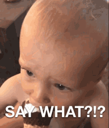 Say What GIF - Say What GIFs