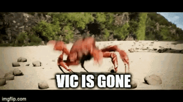 Crab Vic Is Gone GIF - Crab Vic Is Gone Crab Core GIFs