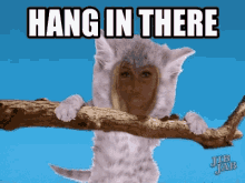 Hang On Hanging Around GIF - Hang On Hanging Around Hang In There GIFs