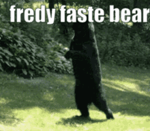 Freddy Fast GIF - Freddy Fast Bear GIFs